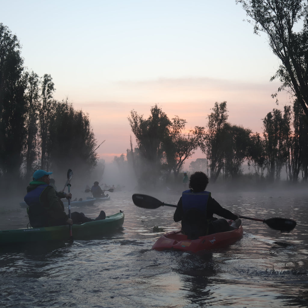 Kayak en Xochimilco - 18 de julio