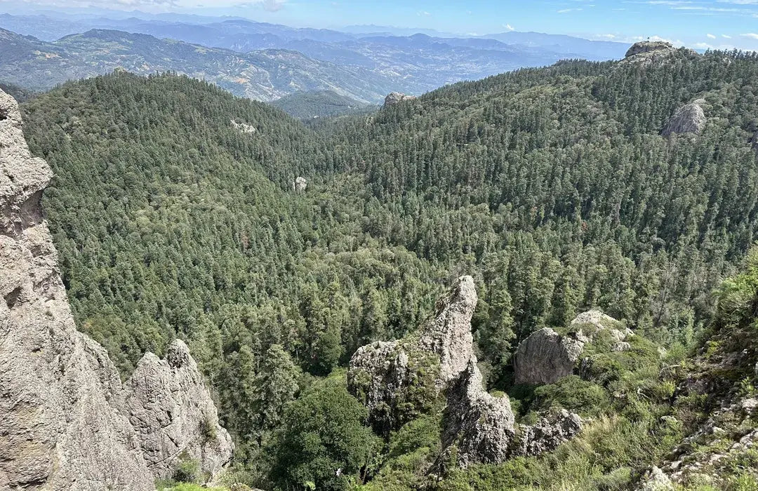 Peña de la Muela Hidalgo - 21 de junio